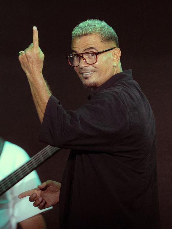 عمرو دياب 2